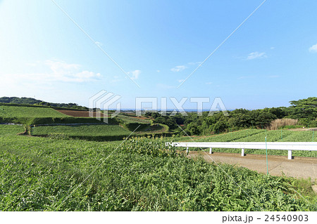 快晴の夏の畑 24540903