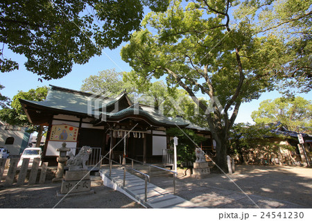 堺市北区　華表神社 24541230
