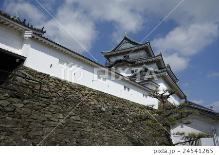 和歌山城 和歌山城 24541265