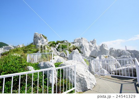 白崎海洋公園　遊歩道 24541329