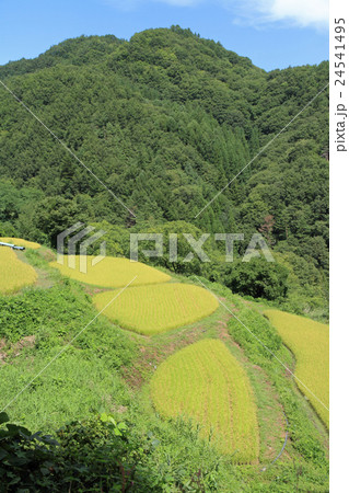 重太郎棚田 日本の棚田百選 長野県大町市八坂 重太郎棚田 日本の棚田百選 長野県大町市八坂 24541495