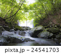 川 24541703