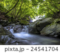 流れ 24541704