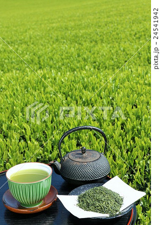 風薫る新緑の茶畑と淹れ立ての新茶 風薫る新緑の茶畑と淹れ立ての新茶 24541942