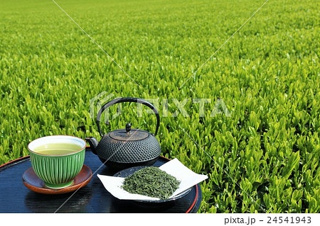 風薫る新緑の茶畑と淹れ立ての新茶 24541943