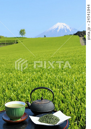 新緑の茶畑と新茶　そして富士山 24541944