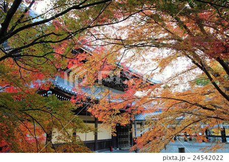 南禅寺の紅葉 24542022
