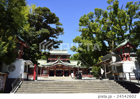 東京　門前仲町　富岡八幡宮 24542602