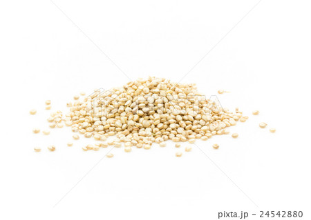 発芽キヌア:Sprouted Quinoa 発芽キヌア:Sprouted Quinoa 24542880