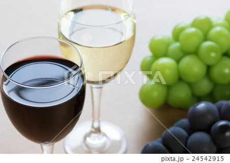 ワインと秋の味覚のぶどう 24542915