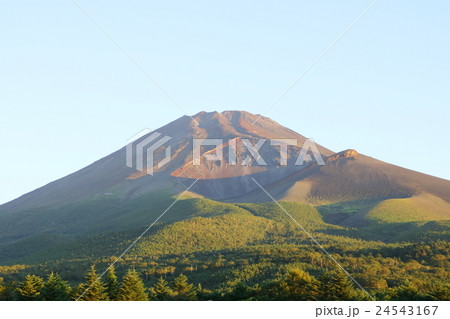 朝の富士山(水ヶ塚公園より撮影) 朝の富士山(水ヶ塚公園より撮影) 24543167