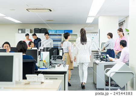 オフィス オフィス 24544383