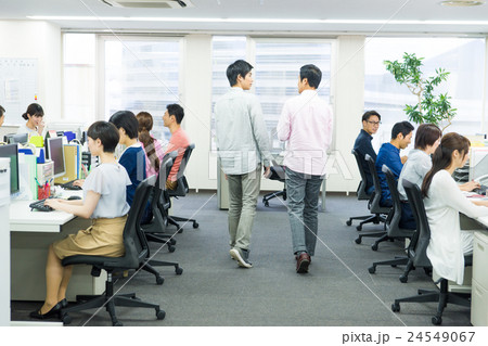 オフィス オフィス 24549067