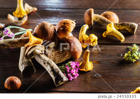 autumn mushrooms autumn mushrooms 24550335