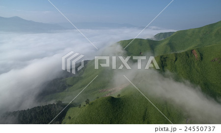 雲海19 雲海19 24550737