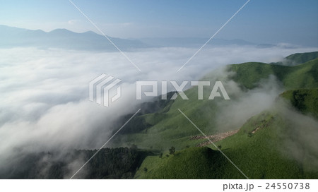 雲海20 雲海20 24550738