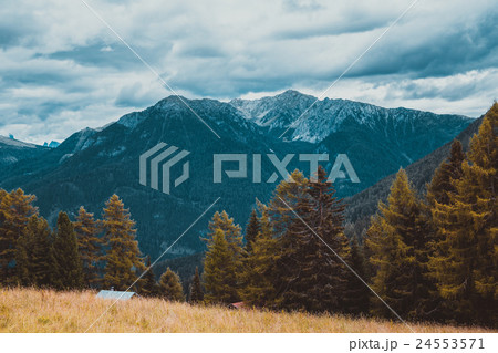 landscape of the Alps 24553571