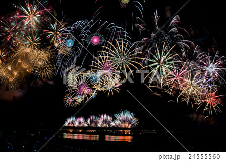 新潟県　長岡まつり花火大会の花火 24555560