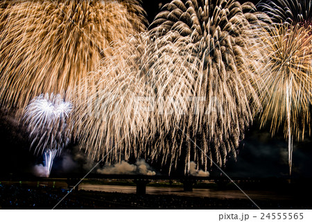 新潟県　長岡まつり花火大会の花火 24555565