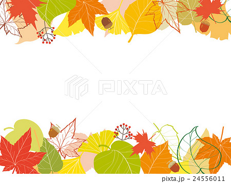 Autumn Leaves Flame 秋の紅葉フレーム 2 のイラスト素材 24556011