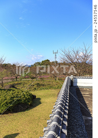 名勝　竹崎城跡展望台　佐賀県太良町 24557546