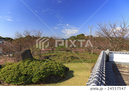 名勝　竹崎城跡展望台　佐賀県太良町 24557547