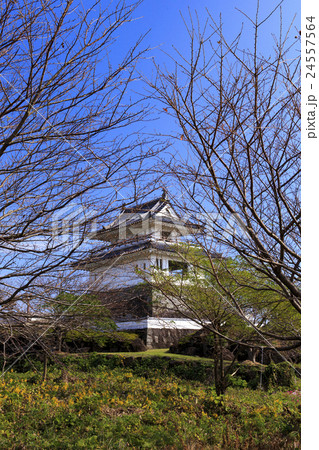 名勝　竹崎城跡展望台　佐賀県太良町 24557564