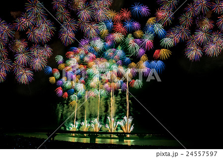 新潟県　長岡まつり花火大会の花火 24557597