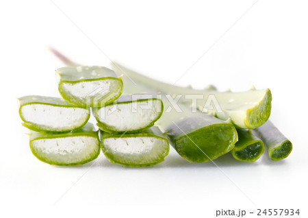Aloe vera isolated on white Aloe vera isolated on white 24557934