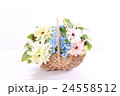 バスケットいっぱいの花束 24558512