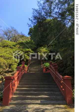 名勝 鹿島明神社参道 名勝 鹿島明神社参道 24558641
