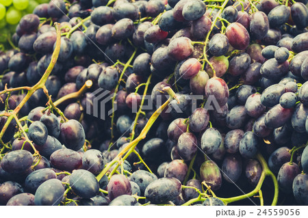 grapes closeup 24559056
