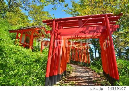 扇森稲荷神社 24559107