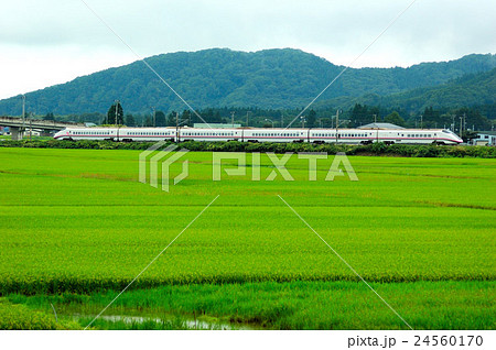 秋田新幹線こまち 秋田新幹線こまち 24560170