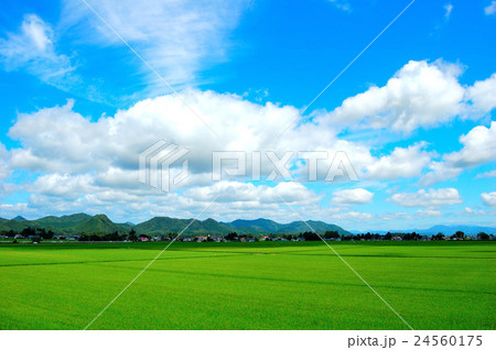 田沢湖線の沿線風景 24560175