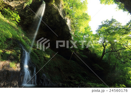 銚子の滝 24560176