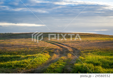 Sunset light in the field road. Belarus. 24560552