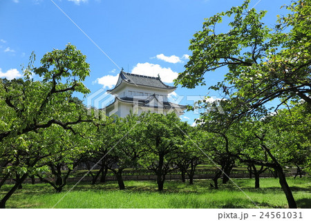 名古屋城小天守閣 24561031