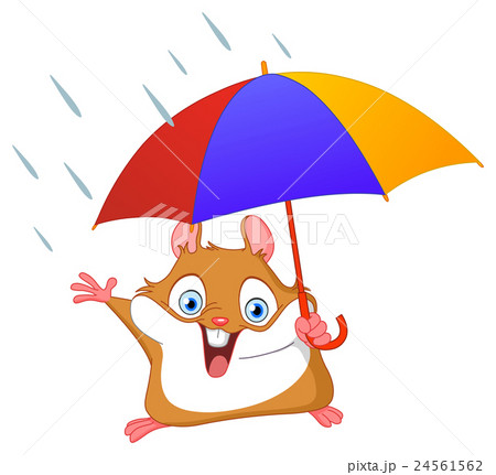 Winter hamster 24561562