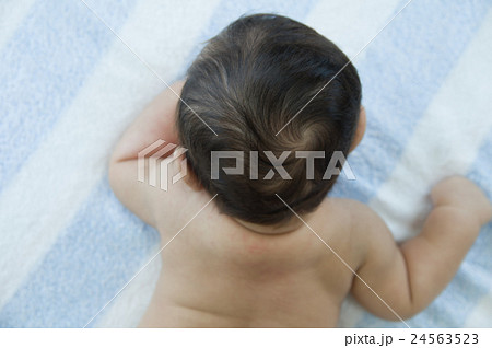生後3ヶ月の赤ちゃん 24563523