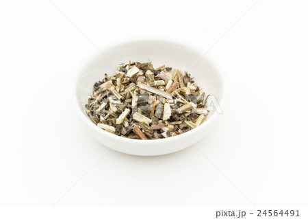 ウッドベトニー: Wood betony (Stachy officinalis) 24564491