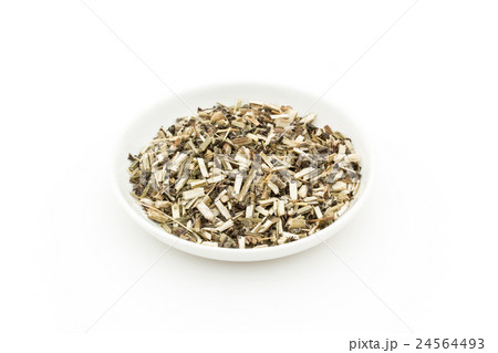 ウッドベトニー: Wood betony (Stachy officinalis) ウッドベトニー: Wood betony (Stachy officinalis) 24564493