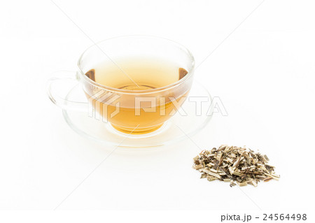 ウッドベトニーティー: Wood betony (Stachy officinalis) ウッドベトニーティー: Wood betony (Stachy officinalis) 24564498
