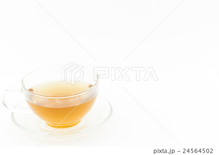 ウッドベトニーティー: Wood betony (Stachy officinalis) 24564502