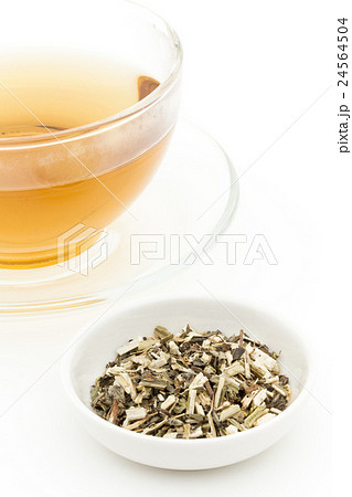 ウッドベトニーティー: Wood betony (Stachy officinalis) 24564504