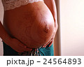 妊婦メヘンディ 24564893