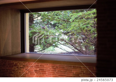 窓 24565073