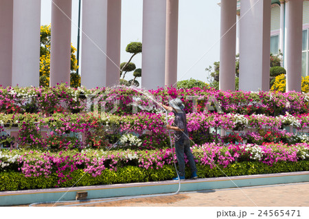 Man watering the garden 24565471