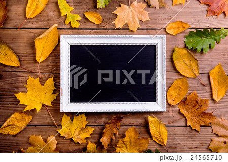 Autumn leaf composition with picture frame. Copy 24565710