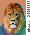 Lion portrait. Low poly design. Vector eps10 24565885
